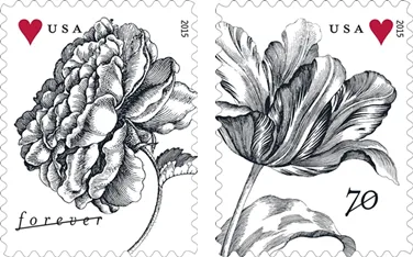 Forever Stamps 2015 Vintage Rose-Wedding Invitation & Love Celebration, First-Class Postage