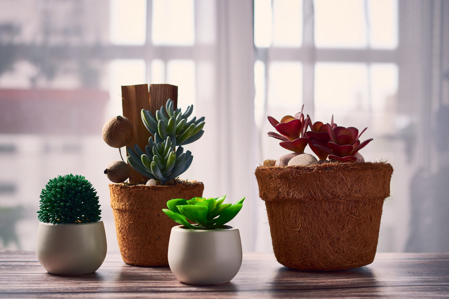 Plastic Pots & Planters