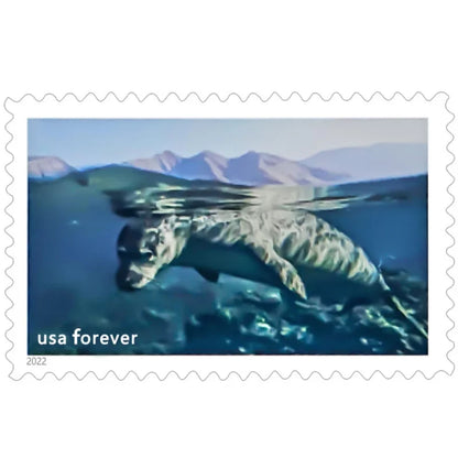 Forever Stamps 2022 National Marine Sanctuaries-Ocean Conservation, First-Class Postage