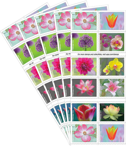 Forever Stamps 2021 Garden Beauty-Nature Series, First-Class Postage
