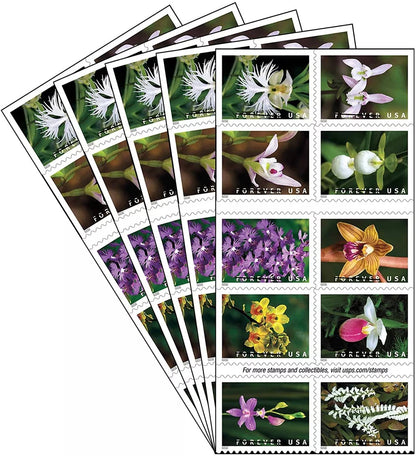 Forever Stamps 2020 Wild Orchids-Nature Series, First-Class Postage