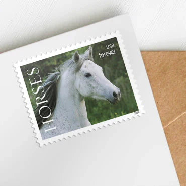 Forever Stamps 2024 Horses-Nature Series, First-Class Postage