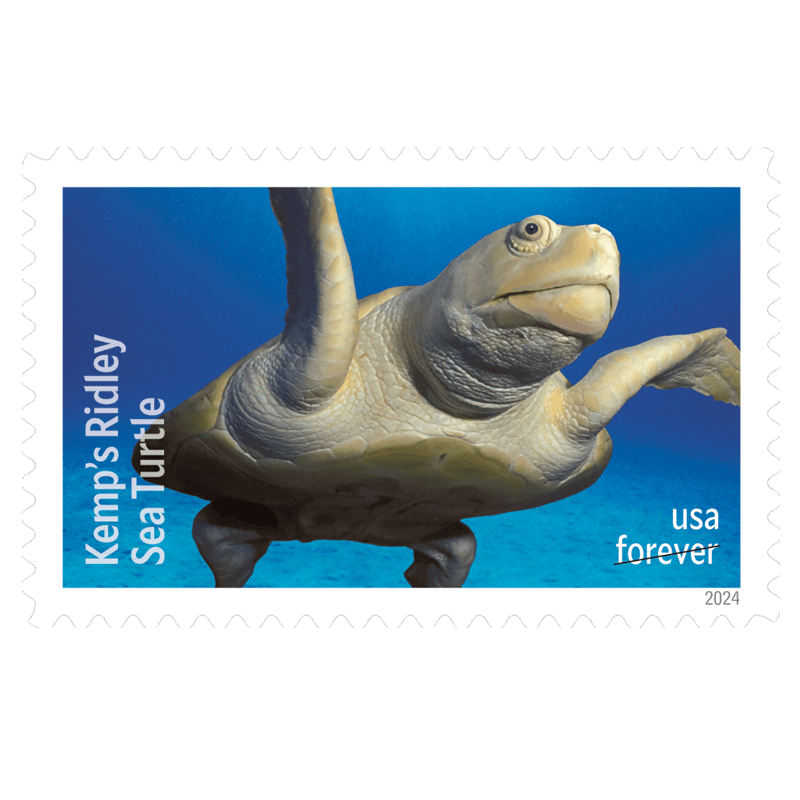 Forever Stamps 2024 Kemp¡¯s Ridley Sea Turtle-Nature Series, First-Class Postage