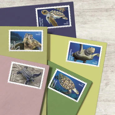 Forever Stamps 2024 Kemp¡¯s Ridley Sea Turtle-Nature Series, First-Class Postage