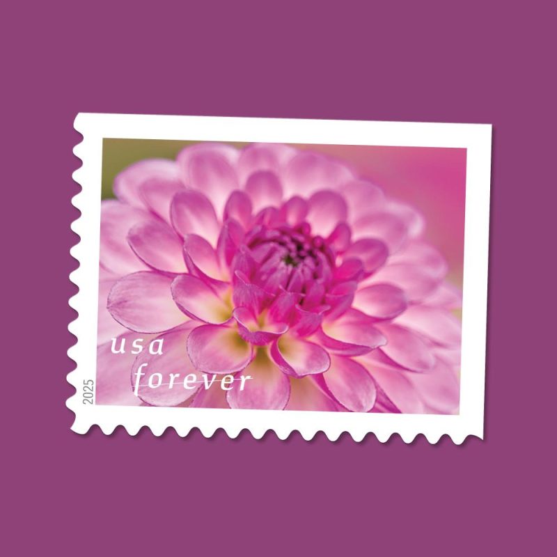 Forever Stamps 2025 Dahlias-Floral Collection, First-Class Postage