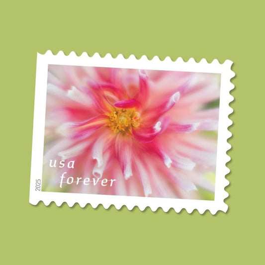 Forever Stamps 2025 Dahlias-Floral Collection, First-Class Postage