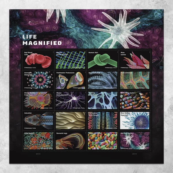 Forever Stamps 2023 Life Magnified-Freshwater Protozoans, First-Class Postage