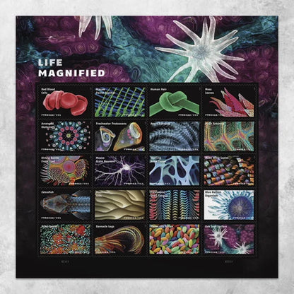 Forever Stamps 2023 Life Magnified-Freshwater Protozoans, First-Class Postage