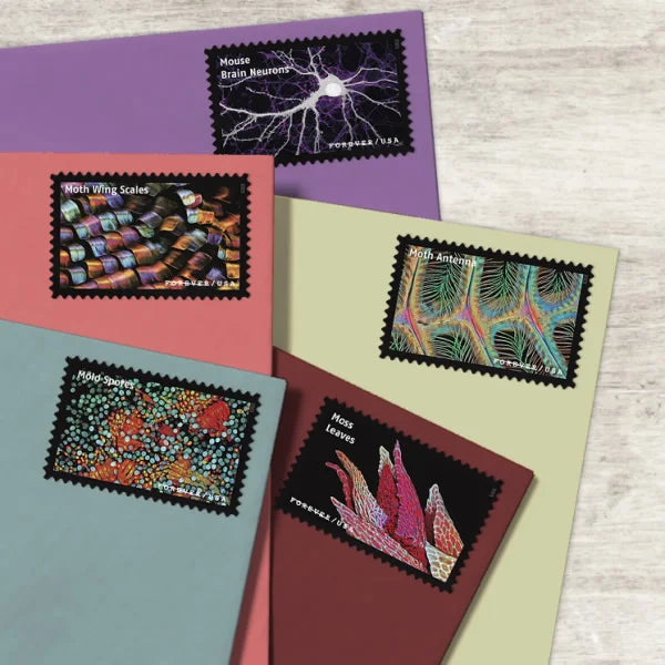 Forever Stamps 2023 Life Magnified-Freshwater Protozoans, First-Class Postage